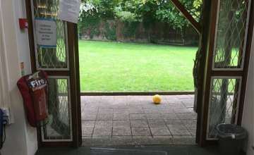 Image 4 of 6