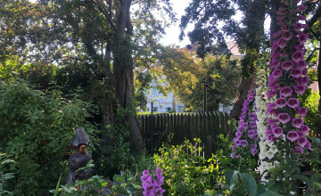 Image 16 of 18
