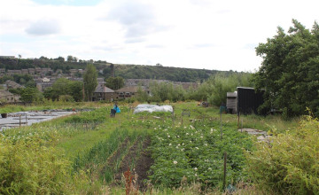 Image 5 of 7