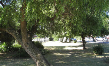 Image 4 of 21