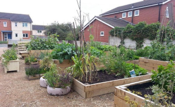 Image 2 of 6