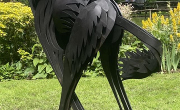 Image 31 of 32