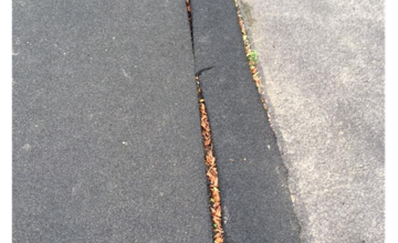 Image 8 of 15