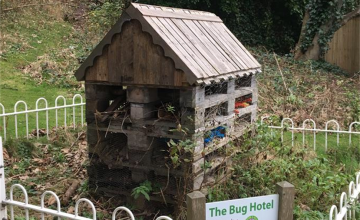 Image 3 of 9