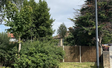 Image 6 of 16