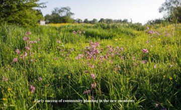 Image 24 of 25
