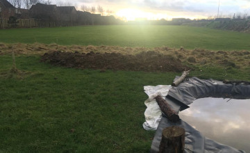 Image 1 of 7