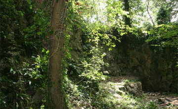 Image 1 of 6