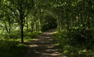 Image 8 of 14