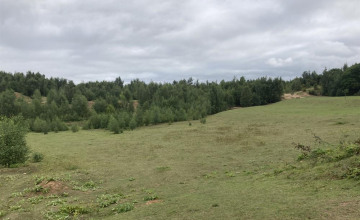 Image 2 of 10