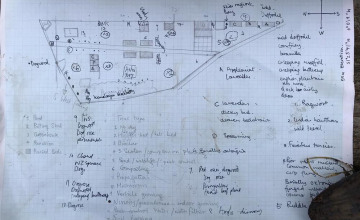 Image 8 of 12