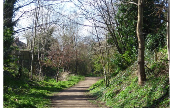 Image 4 of 17