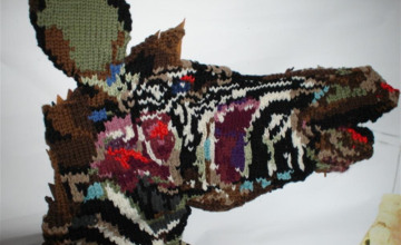 Image 7 of 8