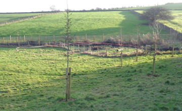 Image 5 of 9