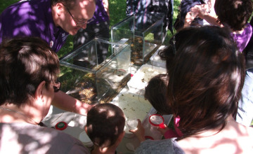 Image 6 of 7