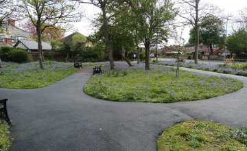 Image 11 of 13