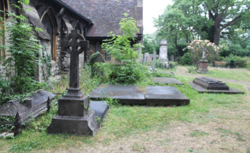 Image 7 of 9