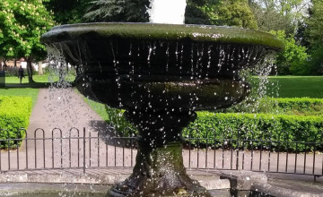 Image 3 of 7