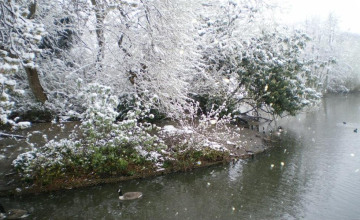 Image 1 of 23