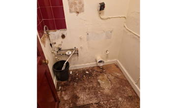 Image 7 of 8