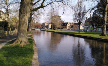 Image 7 of 11