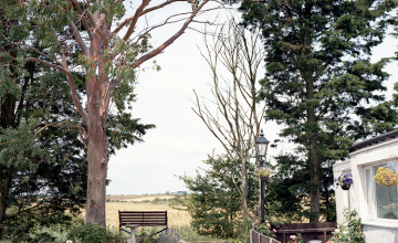 Image 2 of 2