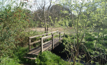 Image 4 of 18