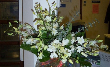 Image 4 of 6