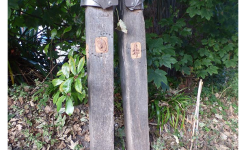Image 16 of 17