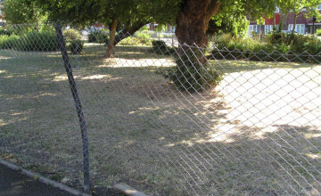Image 19 of 21