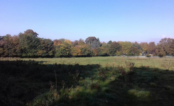 Image 7 of 6