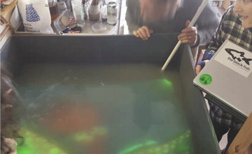 Image 10 of 20