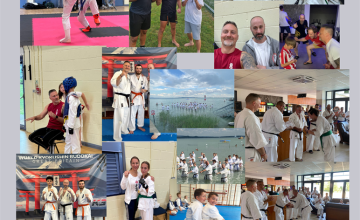 Image 1 of 15