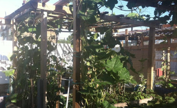 Image 10 of 15