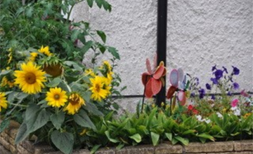 Image 12 of 12