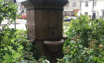 Image 6 of 8