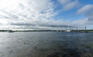 Image 14 of 14