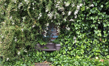 Image 7 of 12