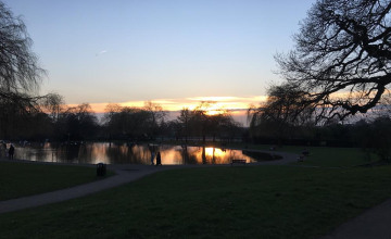 Image 5 of 12