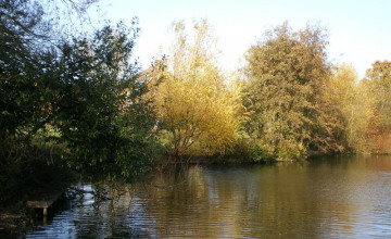Image 21 of 23