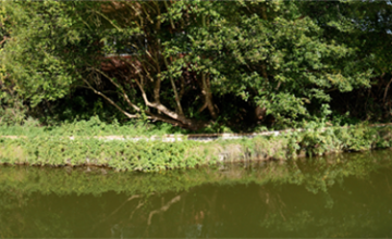 Image 15 of 36