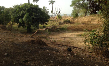 Image 4 of 4