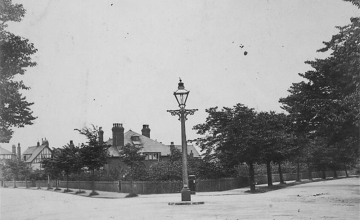 Image 10 of 13