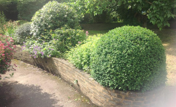 Image 8 of 17