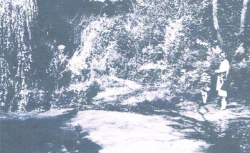 Image 69 of 104