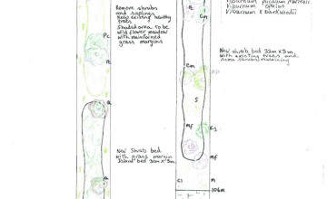 Image 2 of 14