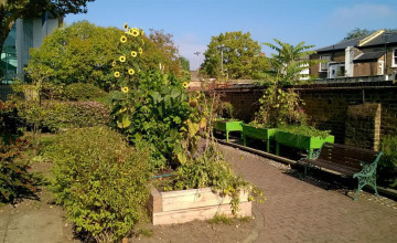 Image 6 of 5