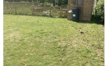 Image 2 of 7