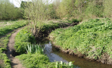 Image 16 of 18