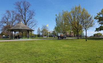 Image 5 of 12